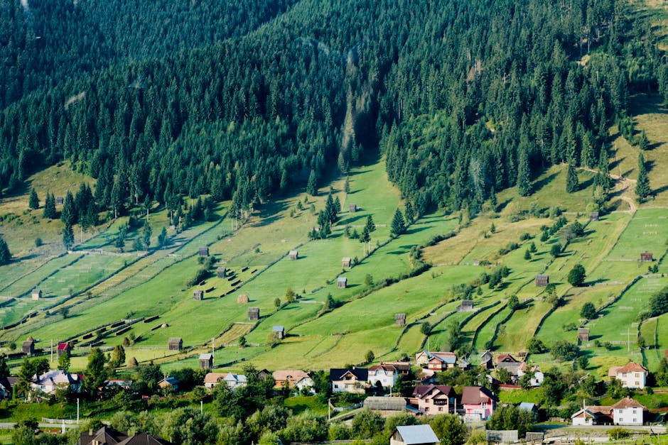 Idyllic pastoral scene with green fields and mountains in Bucovina, Romania.